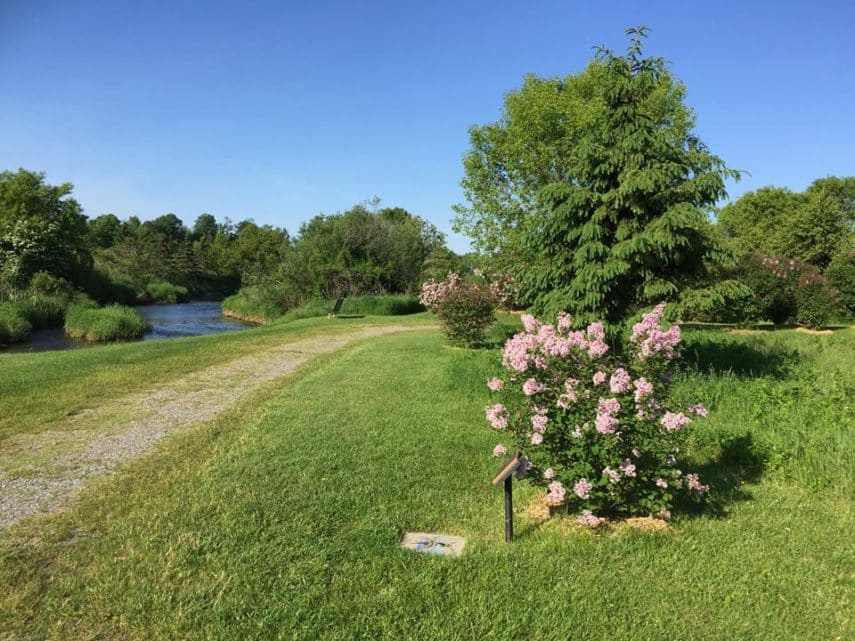 Lilac Road Trip - A Day Trip from Toronto