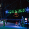 Lions Festival of Lights