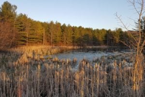 Few Conservation Area Trails in and around Kingston, Ontario Will Re-Open on April 25