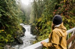 Little Qualicum Falls Park Adventures: Epic Waterfalls, Lush Trails, Lakeside Picnics, and Dreamy Camping Spots