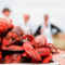 Festivals in PEI