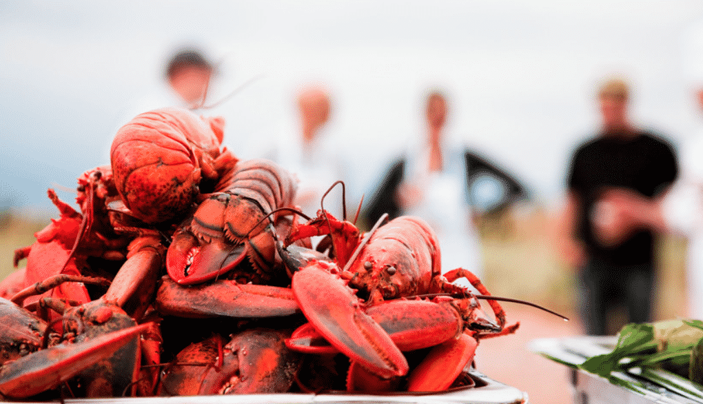 20+ Prince Edward Island Summer Festivals to Attend in 2024