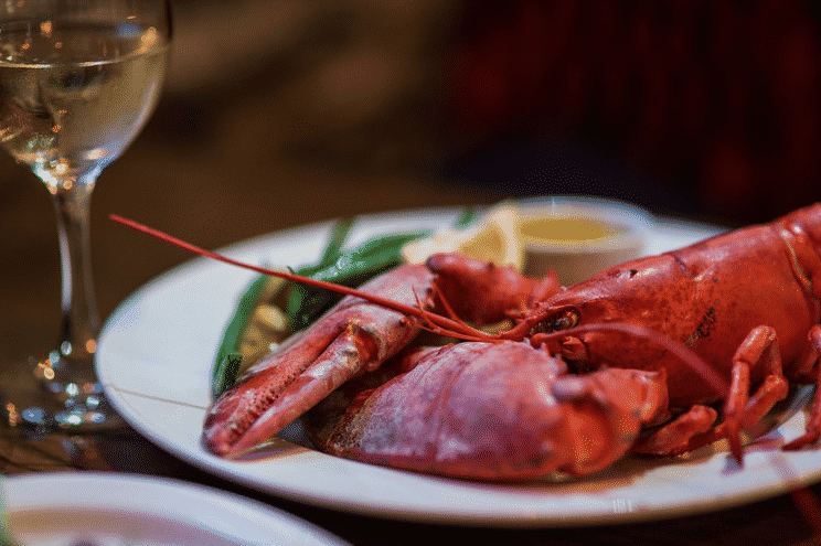 best Places to Visit Places in Nova Scotia
