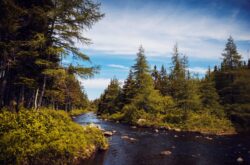 Summer Adventures at Lockston Path Provincial Park in Newfoundland