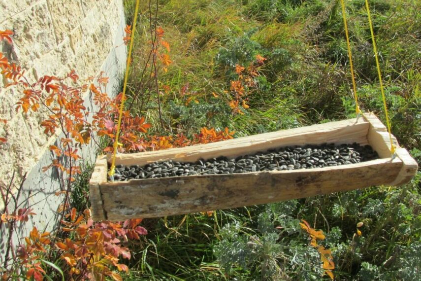 Log Bird Feeder Oak Hammock Marsh, 1 Snow Goose Bay on Hwy. 220, Stonewall, Winnipeg