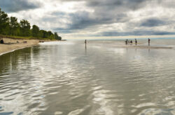 Top Activities at Long Point Provincial Park: A Sandy Beach Paradise on Lake Erie and Birdwatcher's Dream