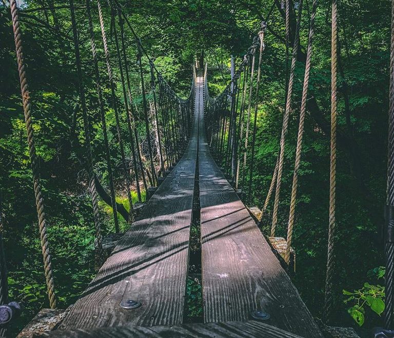 25 Things to Do this Summer in Norfolk County