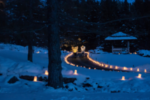 A Christmas Dining Experience Set Amidst Thousands of Lighted Candles is Coming to Alberta