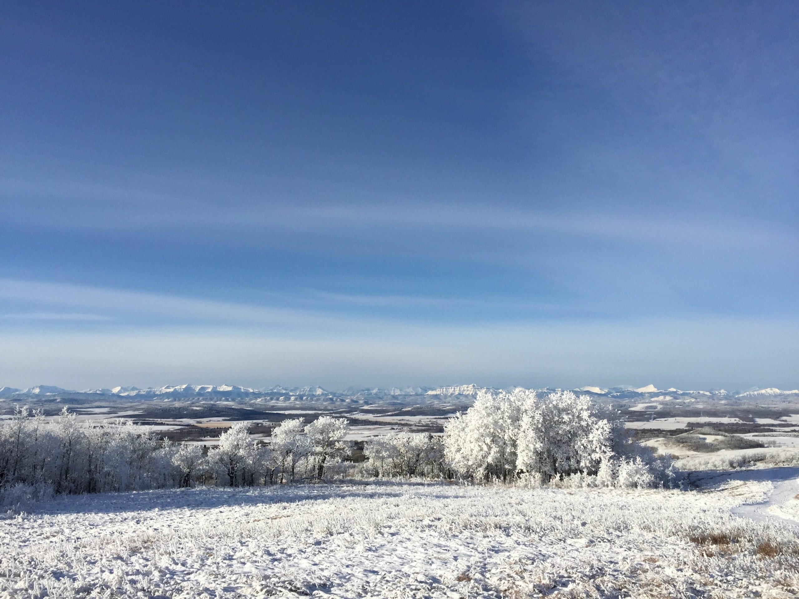 The Most Beautiful Art Tour in Alberta Celebrates the Holidays