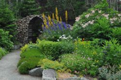 Must-Visit Gardens in Newfoundland