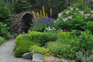 Must-Visit Gardens in Newfoundland