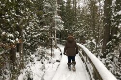 Things to Do during Winter at the MacGregor Point Provincial Park