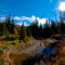 25 of the Best Hikes in and Around Edmonton