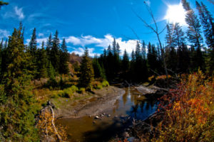 25 of the Best Hikes in and around Edmonton