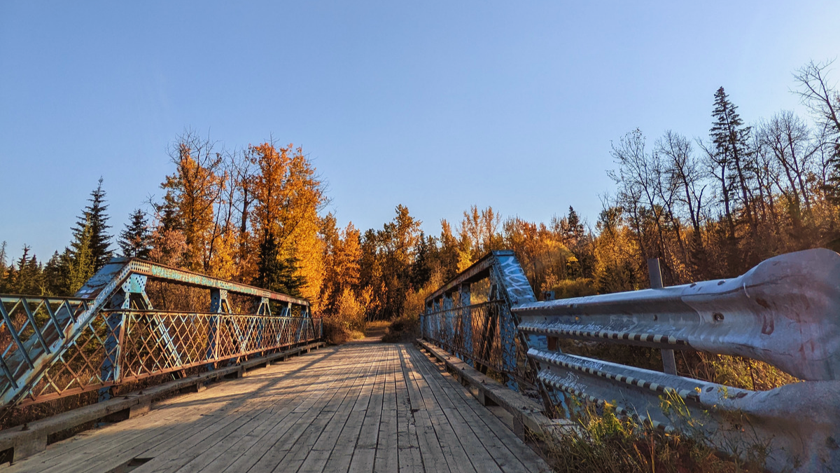 Fall Colour Walk Edmonton’s MacTaggart/Larch Sanctuary in Whitemud Ravine