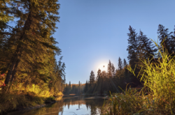 Fall Colour Walk: Edmonton's MacTaggart/Larch Sanctuary in Whitemud Ravine