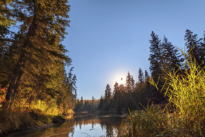 Fall Colour Walk: Edmonton's MacTaggart/Larch Sanctuary in Whitemud Ravine