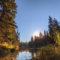 Fall Colour Walk: Edmonton's MacTaggart/Larch Sanctuary in Whitemud Ravine
