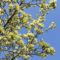 20+ Walks to Enjoy Spring in Toronto and GTA