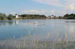Make the Best of Your Trip to Brooks: Explore Alberta's Southeastern Attractions