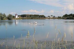 Make the Best of Your Trip to Brooks: Explore Alberta's Southeastern Attractions