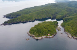 Malei Island Resort Near Vancouver Island is Perfect For a Marine Wildlife Wilderness Getaway