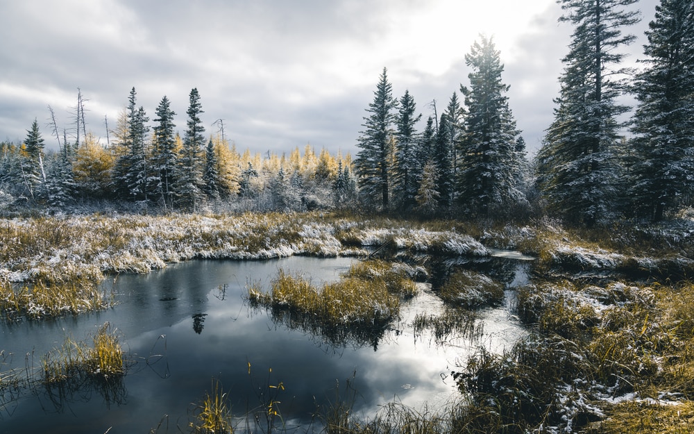 50 Things to Do in Manitoba During Winter