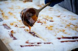 Welcome Spring at Kings Landing With a Maple Celebration This March Break in New Brunswick