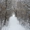 15 Places to Go Winter Walking in Saskatoon