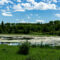 Miquelon Lake: Reasons to Visit This Year Round Tranquil Provincial Park Near Edmonton