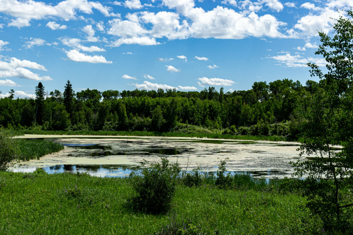 Miquelon Lake Reasons to Visit This Year Round Tranquil Provincial