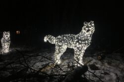 Things to Do During Christmas Holidays - Winter Break in Moncton