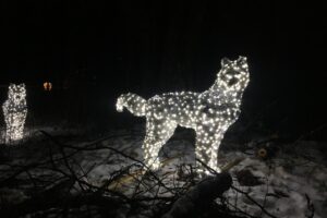 Things to Do during Christmas-Winter Holidays in Moncton
