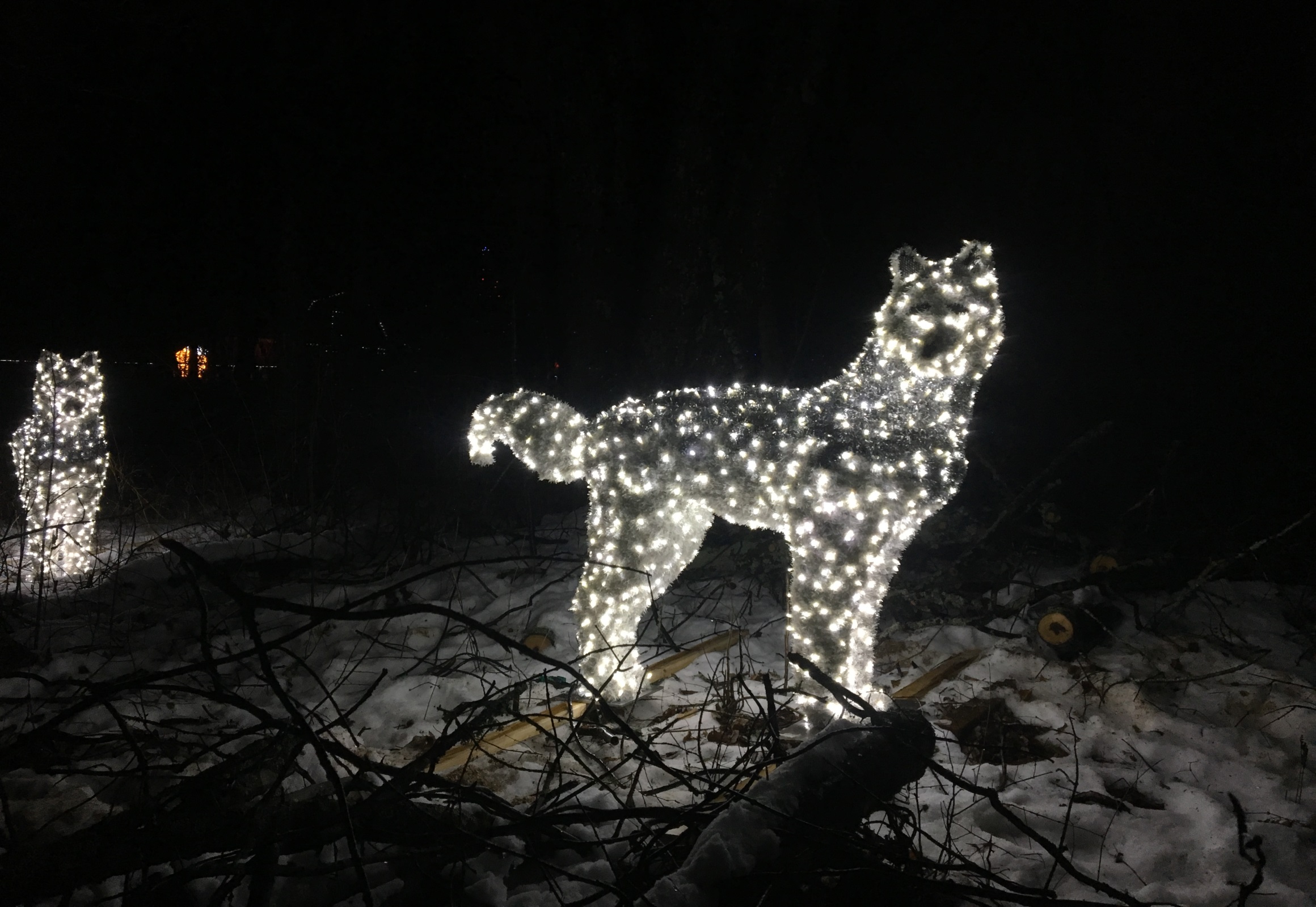 Things to Do during Christmas-Winter Holidays in Moncton