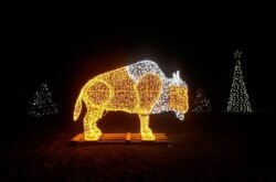 2025 Christmas & Holiday Activities in and Around Moncton