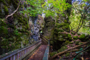 Mono Cliffs Provincial Park - Discover Towering Cliffs, Ancient Cedars, and Canyon Trails at Ontario’s Stunning Park