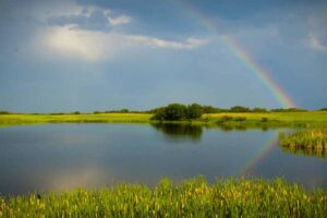 Summer Fun at Moose Mountain: Explore Saskatchewan's Oldest Provincial Parks
