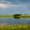 Summer Fun at Moose Mountain: Explore Saskatchewan's Oldest Provincial Parks