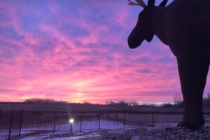 Credit: Moose Jaw Tourism