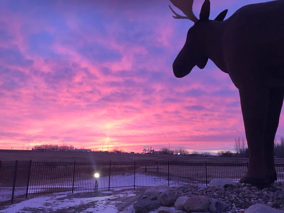 Credit: Moose Jaw Tourism