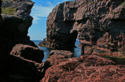 Most Incredible Natural Attractions You Must Visit in Newfoundland and Labrador