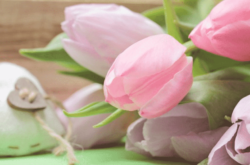 Things to do to Celebrate Mother's Day in Edmonton