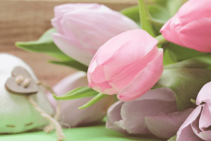 Things to do to Celebrate Mother's Day in Edmonton