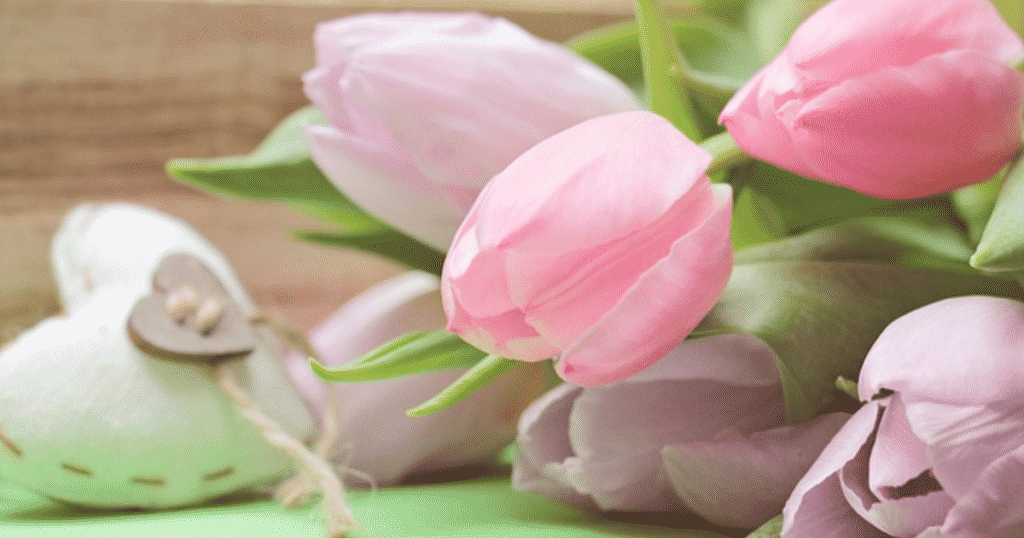 Things to do to Celebrate Mother's Day in Edmonton