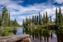 Top 10 things to do in Mount Revelstoke
