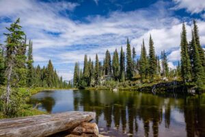Top 10 things to do in Mount Revelstoke