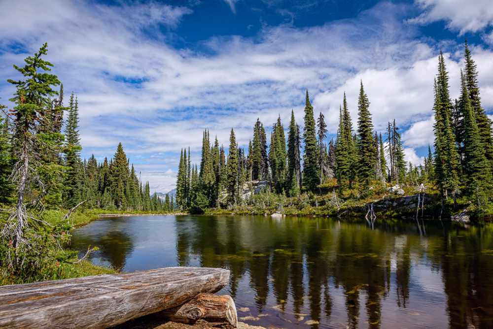 Top 10 things to do in Mount Revelstoke