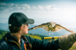 Must-Visit Nature Parks For Birding Day Trips from Vancouver