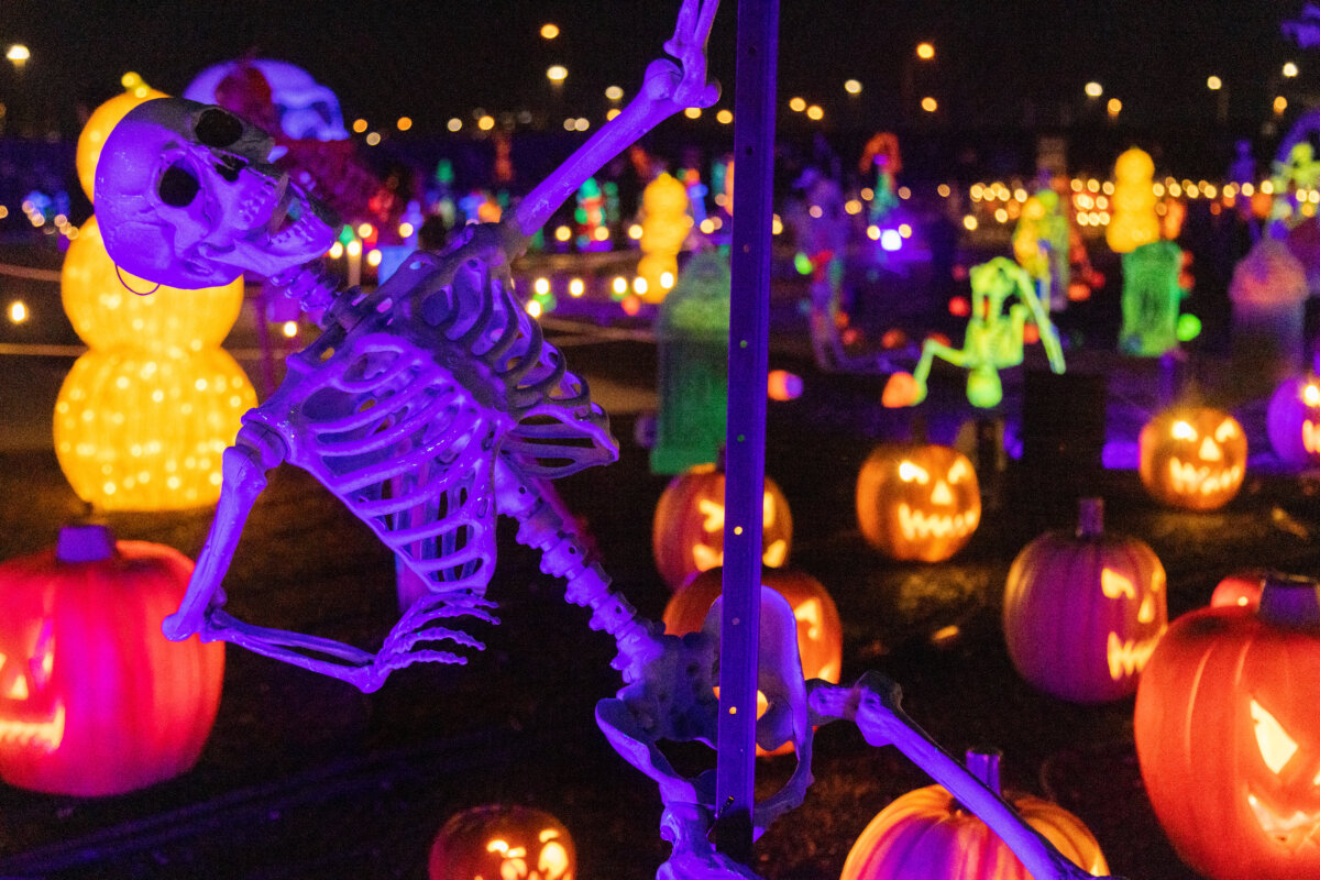 Halloween Bild Lustig: A Journey into the Spooktacular and Hilarious