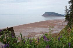 Five Islands Provincial Park: Explore Clifftop Trails to Tidal Views on Your Bay of Fundy Itinerary